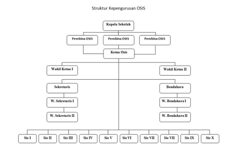 Gambar Struktur Osis
